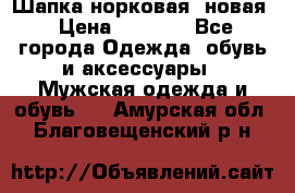 Шапка норковая, новая › Цена ­ 5 000 - Все города Одежда, обувь и аксессуары » Мужская одежда и обувь   . Амурская обл.,Благовещенский р-н